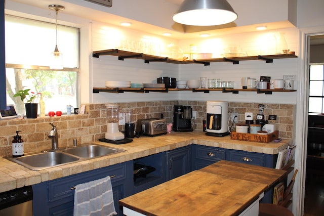11615 Primwood Dr, Houston, TX 77070 - kitchen with blue cabinets, dishwasher, and a sink