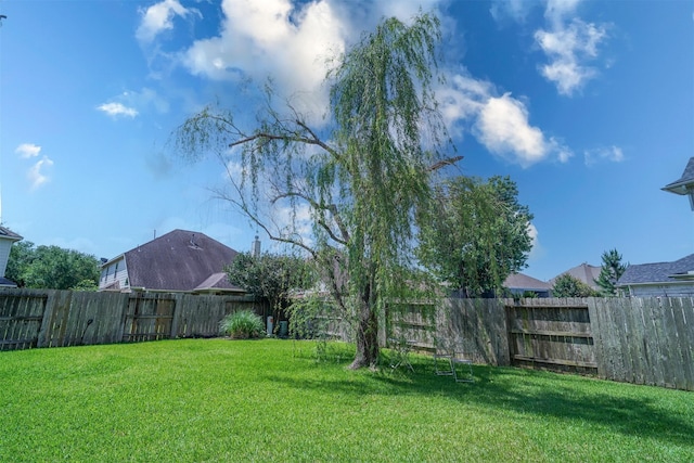 5515 E Terrace Gable Cir, Katy, TX 77494 - view of yard
