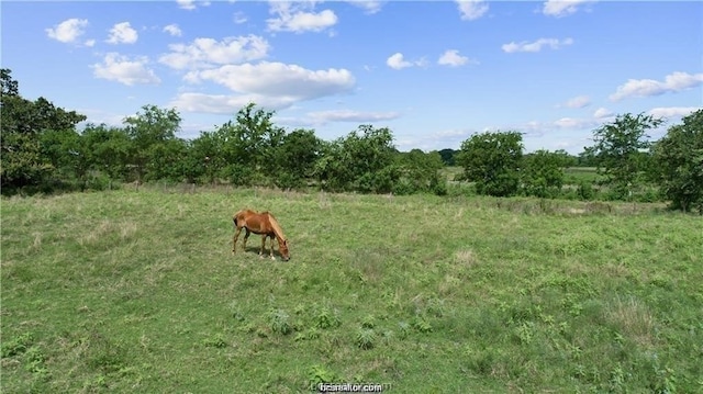 16627 Kelton, Iola, TX 77861 - view of yard featuring a view of rural / pastoral area