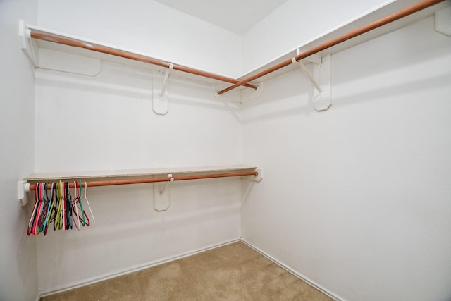 16023 Mission Glen Dr, Houston, TX 77083 - walk in closet featuring carpet