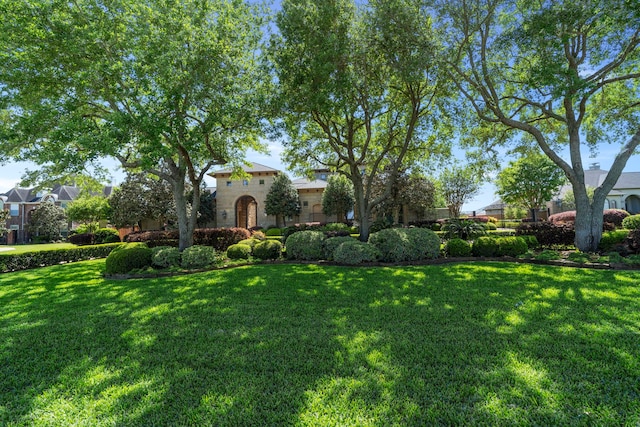 2602 Britton Ridge Dr, Katy, TX 77494 - view of grassy yard