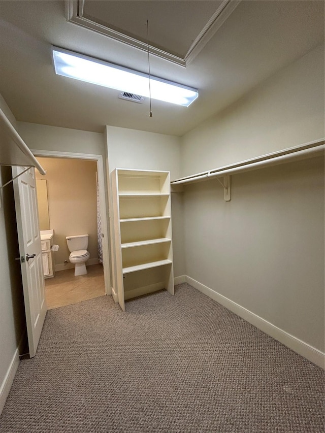 2333 Ann St, Houston, TX 77003 - walk in closet with attic access and carpet floors