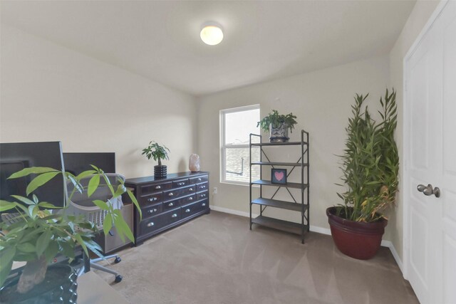 5335 Ivory Glass Dr, Katy, TX 77493 - office space featuring carpet flooring and baseboards