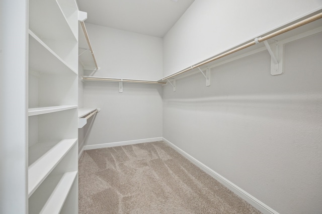 27403 Laurel Bay Ct, Katy, TX 77494 - spacious closet featuring carpet floors