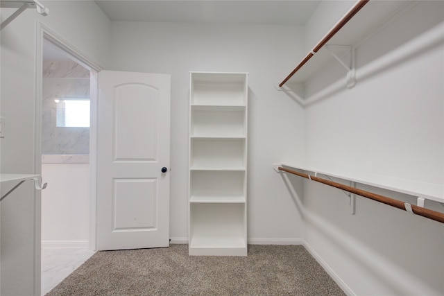 9630 Landry Blvd, Spring, TX 77379 - walk in closet with carpet floors