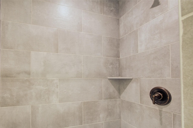 9630 Landry Blvd, Spring, TX 77379 - detailed view of a tile shower