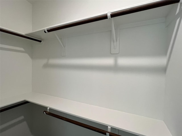 126 Lakeland Cir, Rosharon, TX 77583 - view of spacious closet
