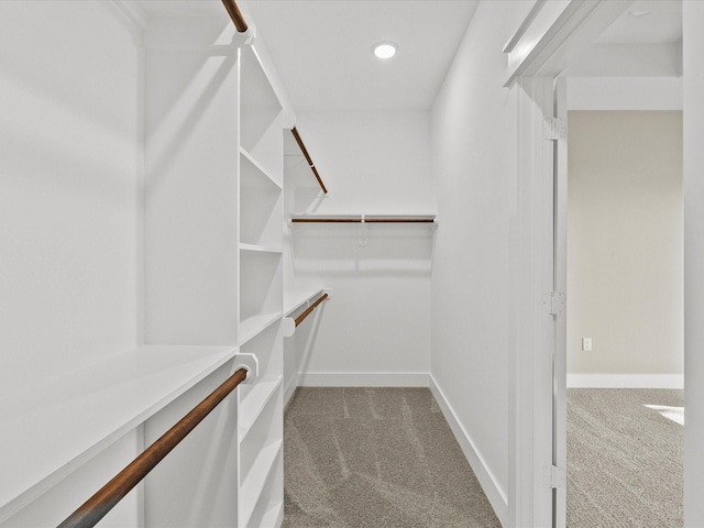 2235 Minnesota St, Houston, TX 77034 - walk in closet with carpet flooring