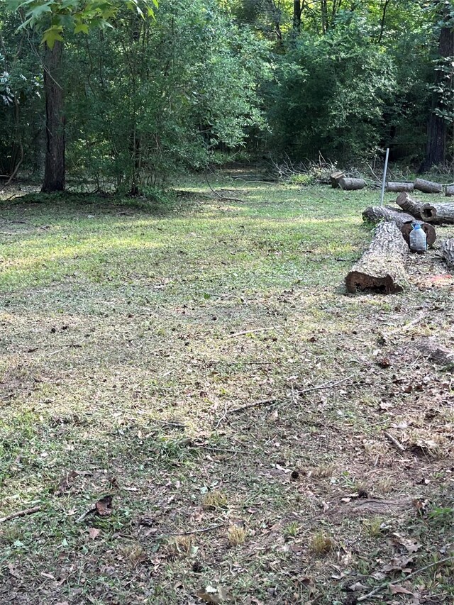427 County Road 2555th Dr, Cleveland, TX 77327 - photo 6