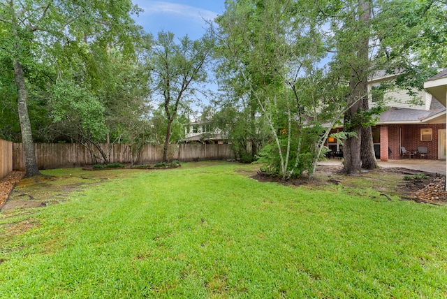 6 Cranberry Bnd, The Woodlands, TX 77381 - view of yard with a patio area