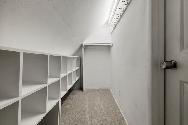 11215 Sageway Dr, Houston, TX 77089 - spacious closet with lofted ceiling and carpet