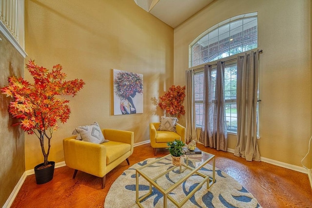1114 Carriage Ct, Seabrook, TX 77586 - sitting room with plenty of natural light, baseboards, a high ceiling, and wood finished floors