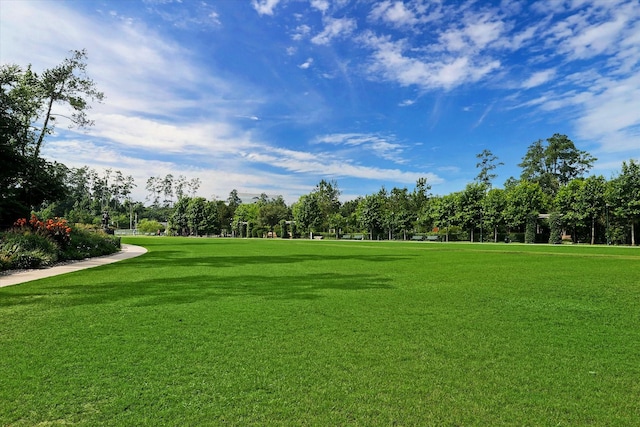 2 Slatestone Cir, The Woodlands, TX 77382 - view of home's community with a lawn and view of wooded area