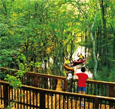 4435 Calvet Forest Dr, Katy, TX 77494 - balcony with a view of trees