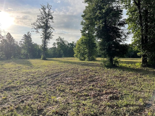 TBD Snell Rd, Livingston, TX 77351
