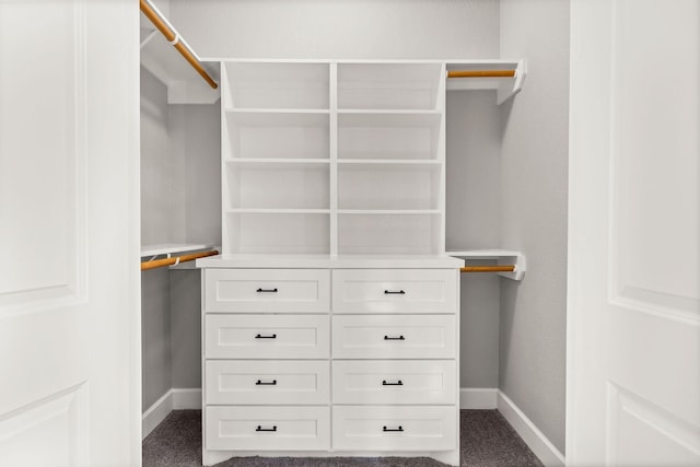247 Mistletoe, Onalaska, TX 77360 - spacious closet with dark colored carpet