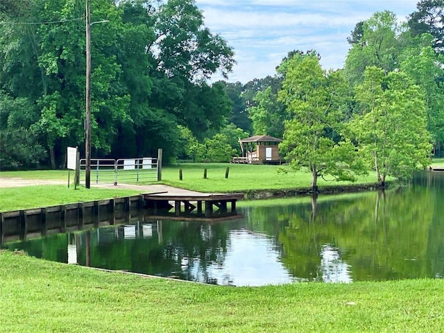 247 Mistletoe, Onalaska, TX 77360 - water view