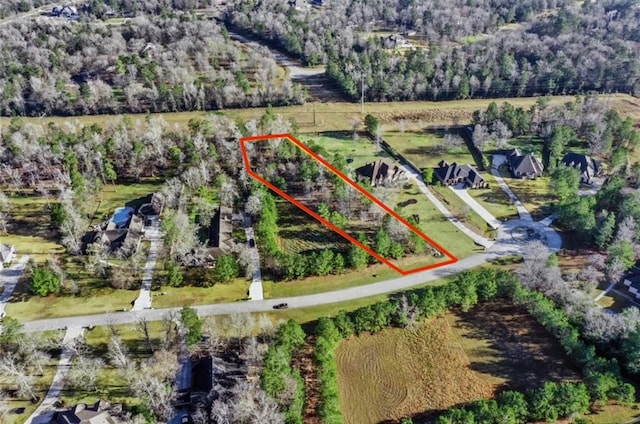 393 Ridge Lake Scenic Dr, Montgomery, TX 77316