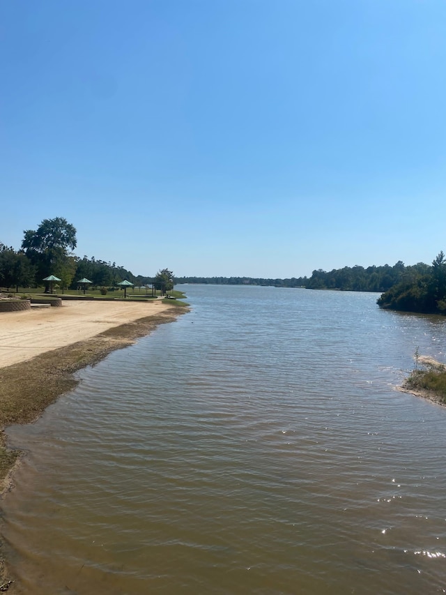 393 Ridge Lake Scenic Dr, Montgomery, TX 77316