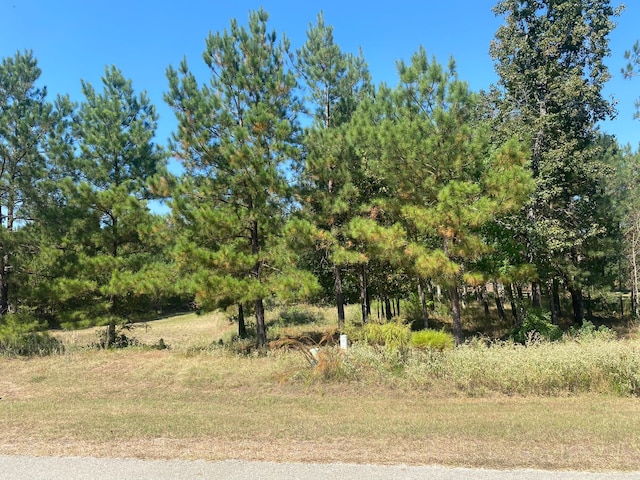 393 Ridge Lake Scenic Dr, Montgomery, TX 77316