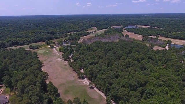 4859 W Fork Blvd, Conroe, TX 77304 - photo 4
