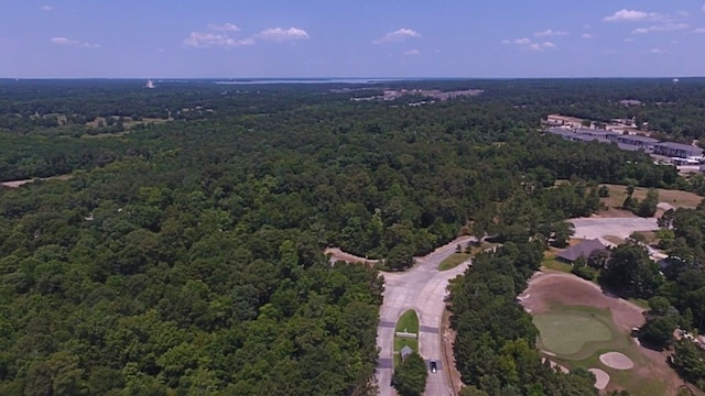 4859 W Fork Blvd, Conroe, TX 77304 - photo 5