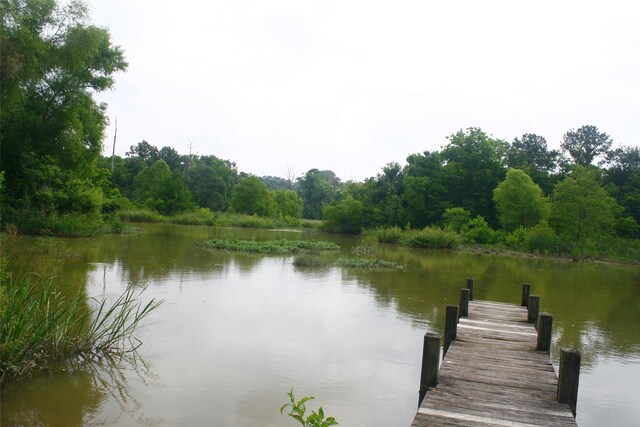 521 Hill Creek Dr, Coldspring, TX 77331 - photo 29