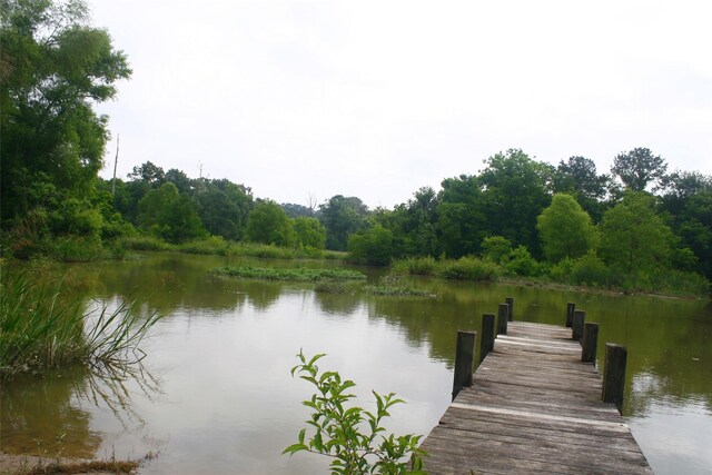 521 Hill Creek Dr, Coldspring, TX 77331 - photo 30