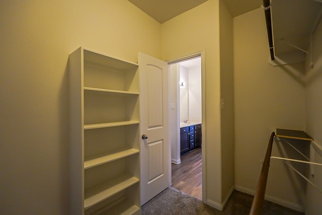 10314 White Fir Villa Ave, Houston, TX 77044 - walk in closet featuring dark carpet