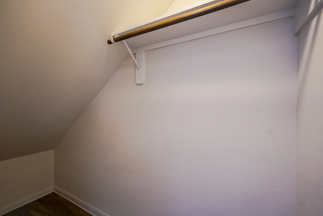 10314 White Fir Villa Ave, Houston, TX 77044 - walk in closet with vaulted ceiling and dark wood-style floors