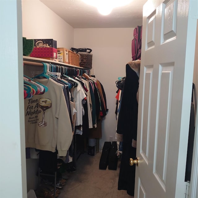 13564 Miller Ln, Willis, TX 77318 - spacious closet with carpet flooring