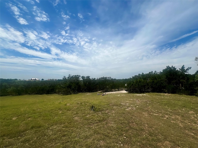 96 Coyote Run, Fredericksburg, TX 78624 - photo 9