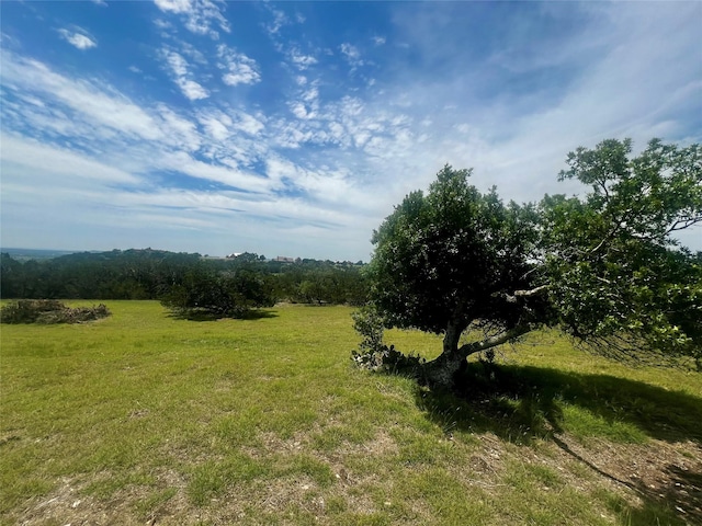96 Coyote Run, Fredericksburg, TX 78624 - photo 10