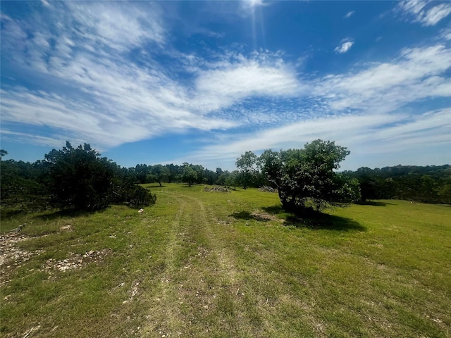 96 Coyote Run, Fredericksburg, TX 78624 - photo 13