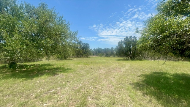 96 Coyote Run, Fredericksburg, TX 78624 - photo 16