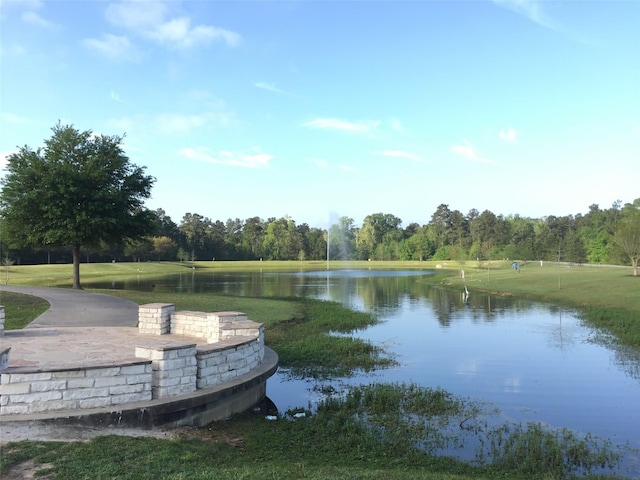 3221 Climbing Gardens Ct, Conroe, TX 77301 - water view