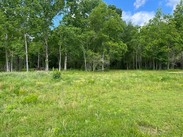TBD Fm 770 Road, Batson, TX 77519