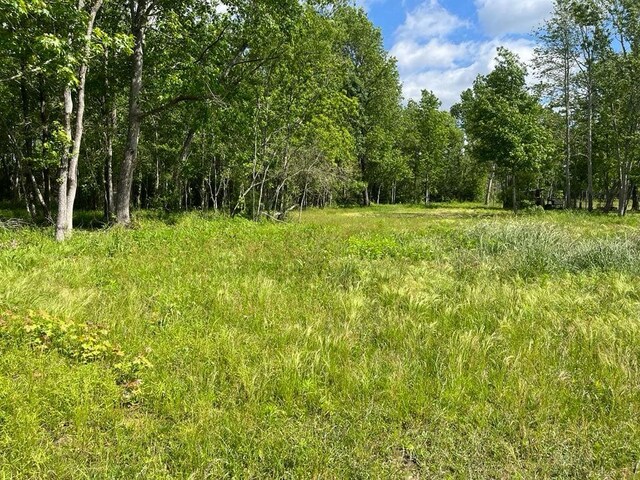 TBD Fm 770 Road, Batson, TX 77519