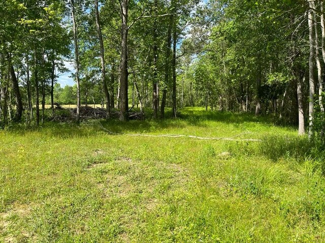 TBD Fm 770 Road, Batson, TX 77519