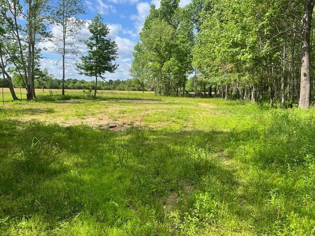 TBD Fm 770 Road, Batson, TX 77519