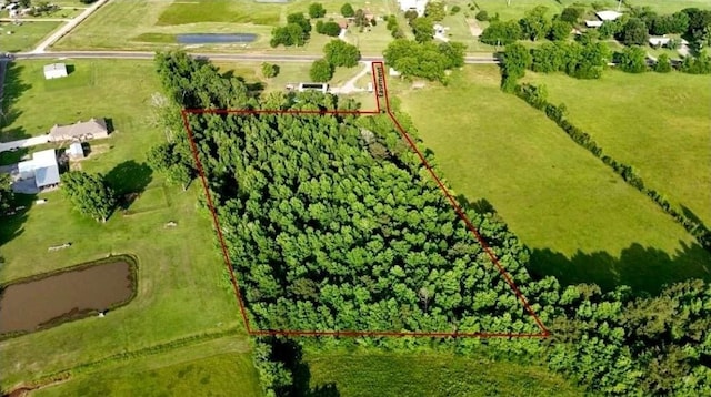 TBD Fm 770 Road, Batson, TX 77519