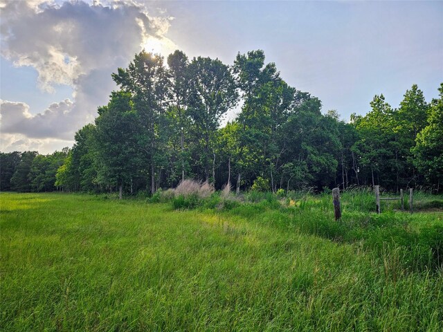 TBD Fm 770 Road, Batson, TX 77519