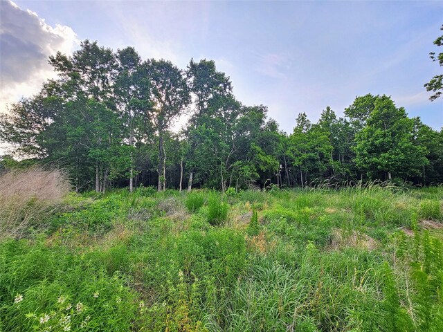TBD Fm 770 Road, Batson, TX 77519