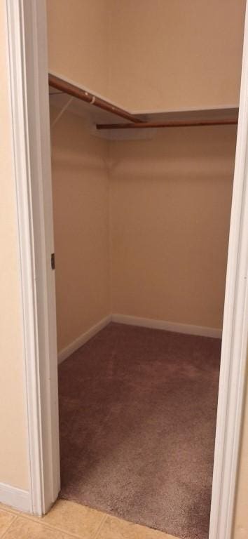 2902 Winslow Forest Ln, Houston, TX 77047 - spacious closet with carpet floors