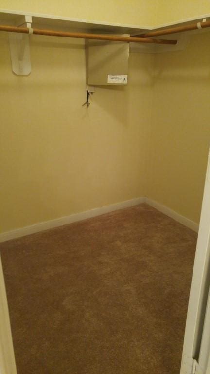 2902 Winslow Forest Ln, Houston, TX 77047 - spacious closet with carpet