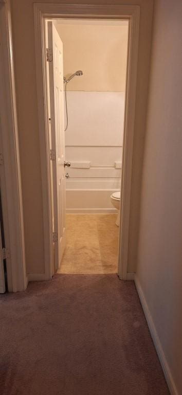 2902 Winslow Forest Ln, Houston, TX 77047 - corridor with light colored carpet and baseboards