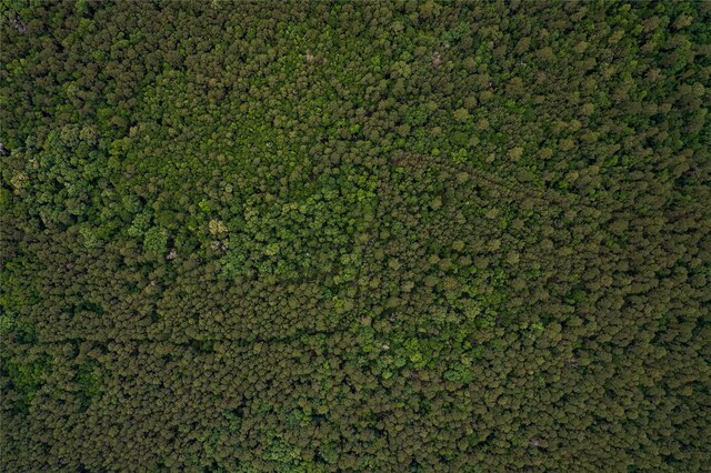 00000 N Fm-1725, Cleveland, TX 77328 - photo 9