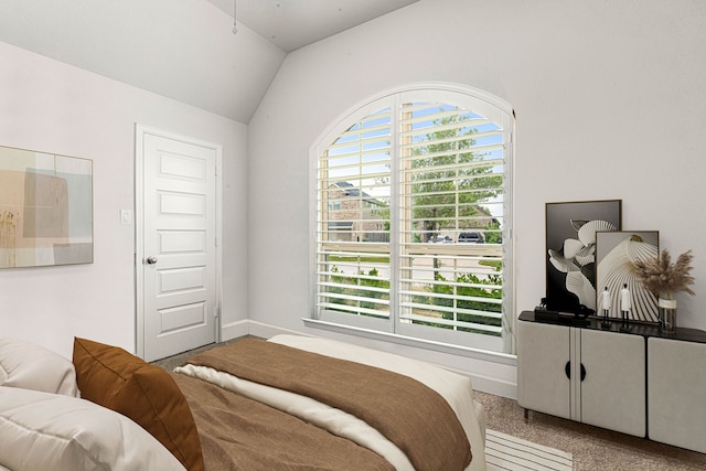 4107 Maple Glen Dr, Fulshear, TX 77441 - bedroom featuring lofted ceiling and baseboards