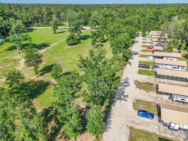 13075 Fm 1485, Conroe, TX 77306