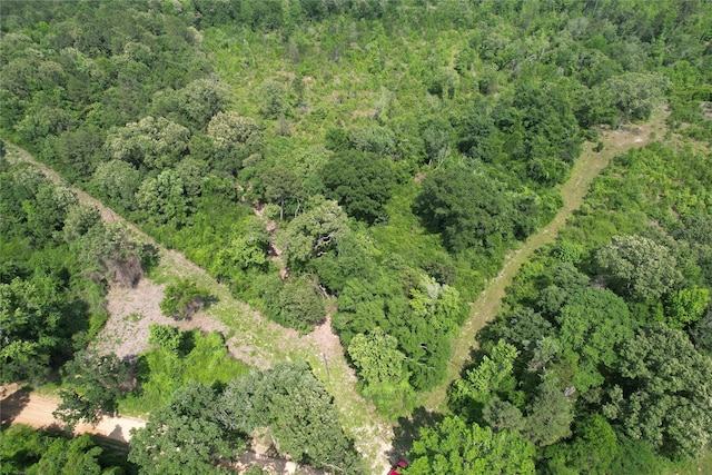 TRACT32 County Road 2170, Grapeland, TX 75844